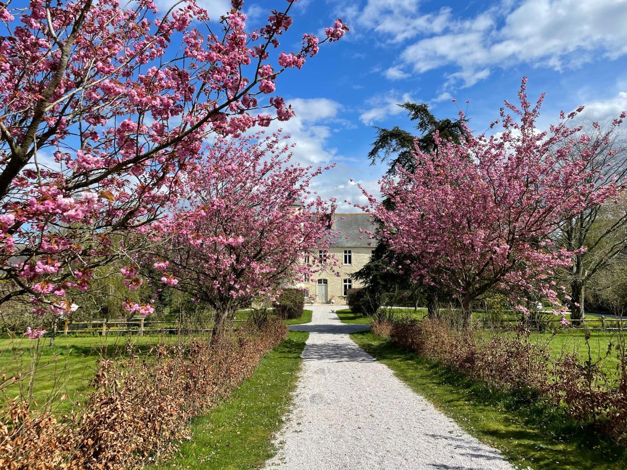 Chateau De Monfréville المظهر الخارجي الصورة